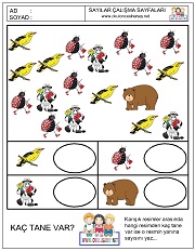 okul öncesi sayılar çalışma sayfaları